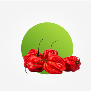 <div><div class="name-subtitle"> <h3 class="name"><a href="https://shop.i.ng/product/rodo-bucket-farm-offtake/">Rodo (bucket) – Farm Offtake</a></h3> </div> <div class="rating"> <div class="star-rating"> </div> <div class="count">0</div> </div> <span class="price"><del aria-hidden="true"><span class="woocommerce-Price-amount amount"><bdi><span class="woocommerce-Price-currencySymbol">₦</span>6,000.00</bdi></span></del> <span class="screen-reader-text">Original price was: ₦6,000.00.</span><ins aria-hidden="true"><span class="woocommerce-Price-amount amount"><bdi><span class="woocommerce-Price-currencySymbol">₦</span>5,100.00</bdi></span></ins><span class="screen-reader-text">Current price is: ₦5,100.00.</span></span></div>