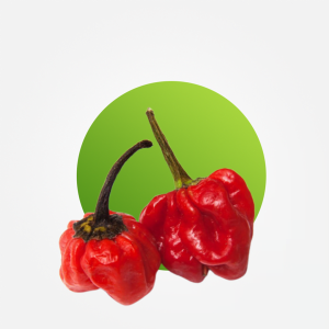 <div><div class="name-subtitle"> <h3 class="name"><a href="https://shop.i.ng/product/rodo/">Rodo pepper (Scotch bonnet)</a></h3> </div> <div class="rating"> <div class="star-rating"> </div> <div class="count">0</div> </div> <span class="price"><span class="from">From: </span><span class="woocommerce-Price-amount amount"><bdi><span class="woocommerce-Price-currencySymbol">₦</span>1,000.00</bdi></span></span></div>