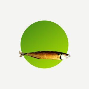 <div><div class="name-subtitle"> <h3 class="name"><a href="https://shop.i.ng/product/smoked-titus-smoked-mackerel/">Smoked Titus (Smoked Mackerel)</a></h3> </div> <div class="rating"> <div class="star-rating"> </div> <div class="count">0</div> </div> <span class="price">From: <span class="woocommerce-Price-amount amount"><bdi><span class="woocommerce-Price-currencySymbol">₦</span>1,320.00</bdi></span></span></div>