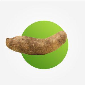 Yam (Off season)