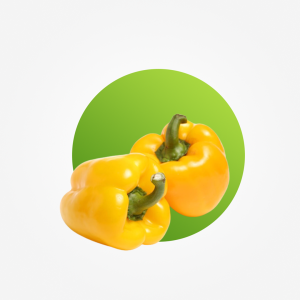 <div><div class="name-subtitle"> <h3 class="name"><a href="https://shop.i.ng/product/yellow-bell-pepper-per-kg/">Yellow bell pepper – per kg</a></h3> </div> <div class="rating"> <div class="star-rating"> </div> <div class="count">0</div> </div> <span class="price">From: <span class="woocommerce-Price-amount amount"><bdi><span class="woocommerce-Price-currencySymbol">₦</span>1,800.00</bdi></span></span></div>