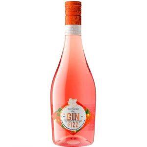 Blossom Hill Gin Fizz Blood Orange 75cl x 6